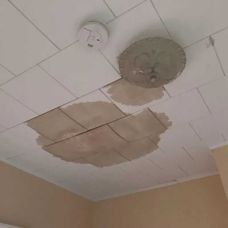 Ceiling Water Damage Repair in Unicoi County, TN