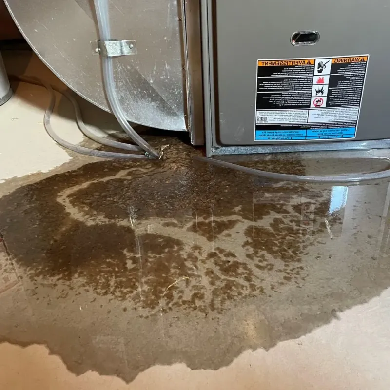 Pipe Burst and Leak Restoration in Unicoi County, TN