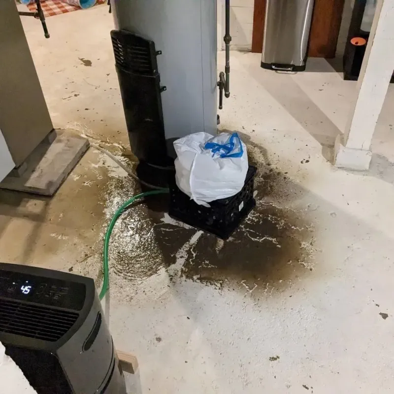 Sewage Backup Cleanup Service in Unicoi County, TN